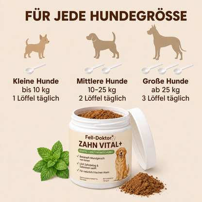 Zahn Vital+ für frischen Atem & natürliche Zahnpflege