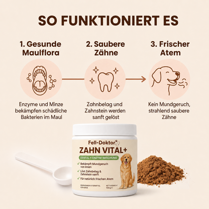 Zahn Vital+ für frischen Atem & natürliche Zahnpflege