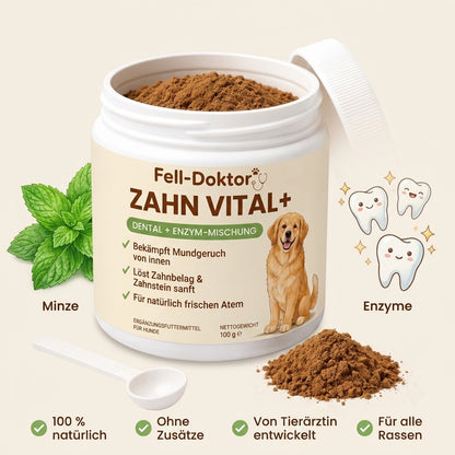 Zahn Vital+ für frischen Atem & natürliche Zahnpflege