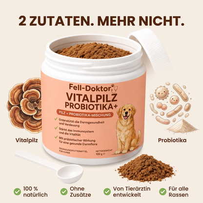 Hunde Vitalpulver für starke Abwehr & gesunde Verdauung