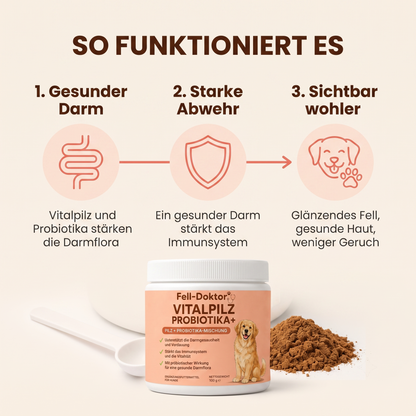 Hunde Vitalpulver für starke Abwehr & gesunde Verdauung